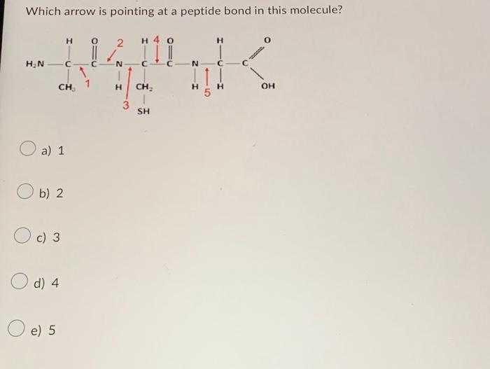 student submitted image, transcription available below