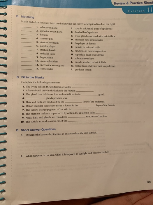 Solved Review & Practice Sheet Exercise 11 B. Matching Match | Chegg.com