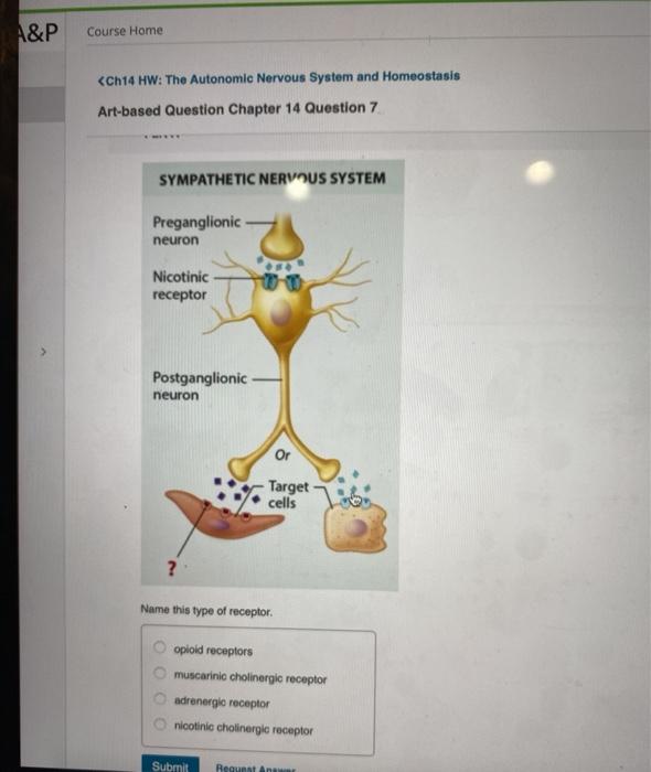 Solved A&P Course Home