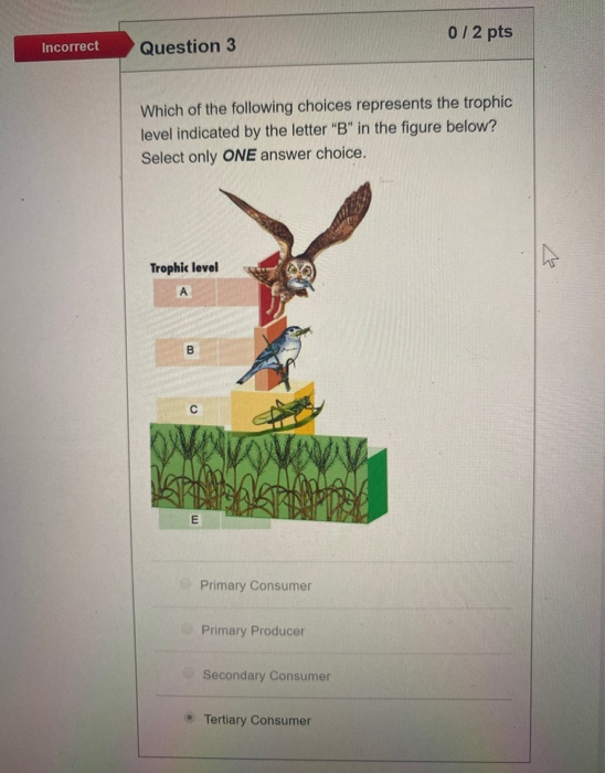Solved Incorrect Question 3 0/2 pts Which of the following | Chegg.com