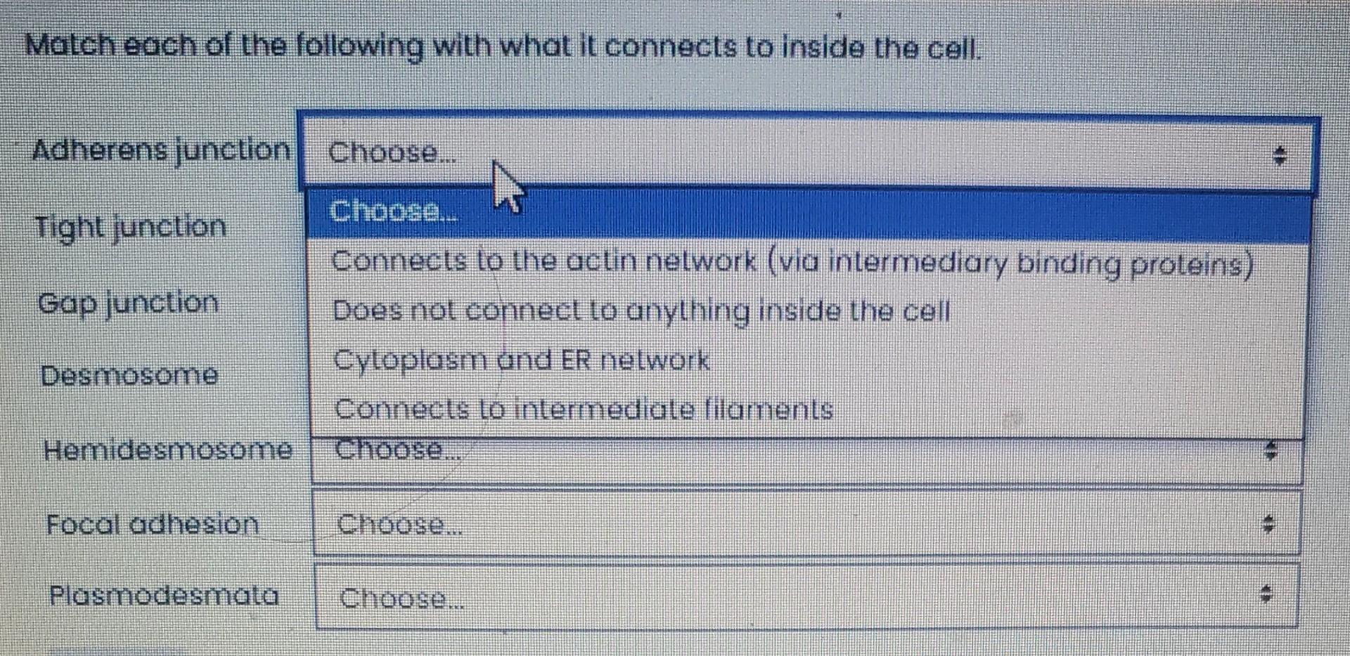 Solved Match each of the following with the correct | Chegg.com