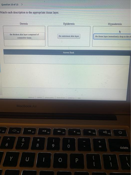 Solved Question 10 of 15 Match each description to the | Chegg.com