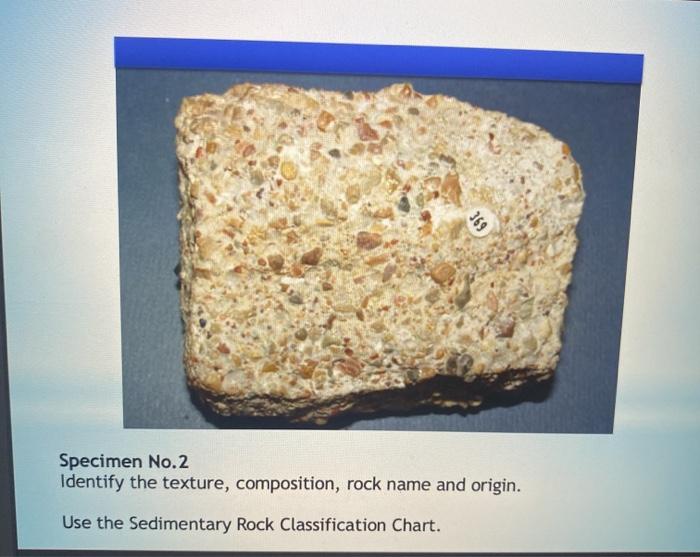 Solved SEDIMENTARY ROCKS NAME: SPECIMEN NO. TEXTURE | Chegg.com
