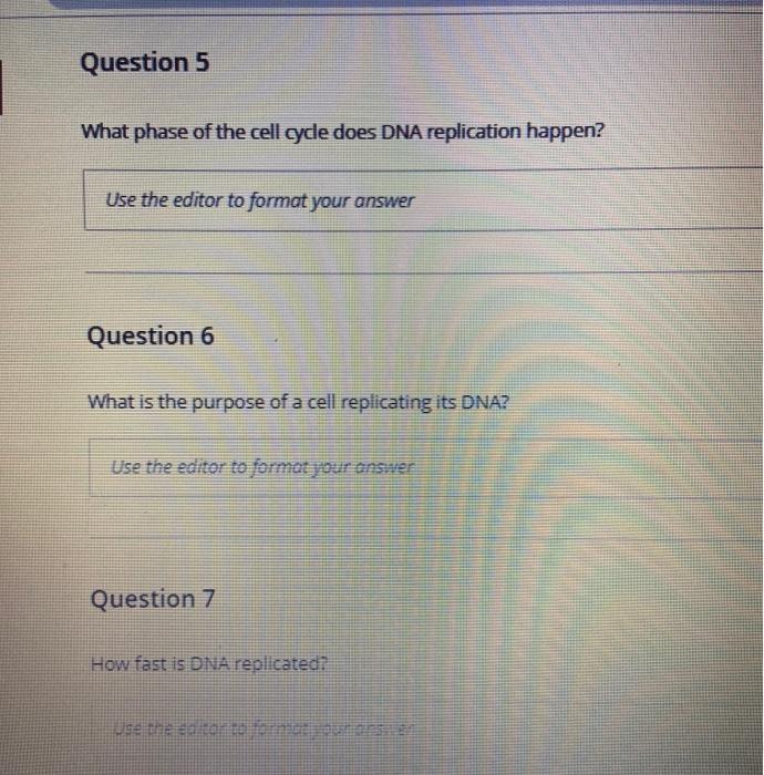 Solved Question 5 What phase of the cell cycle does DNA | Chegg.com