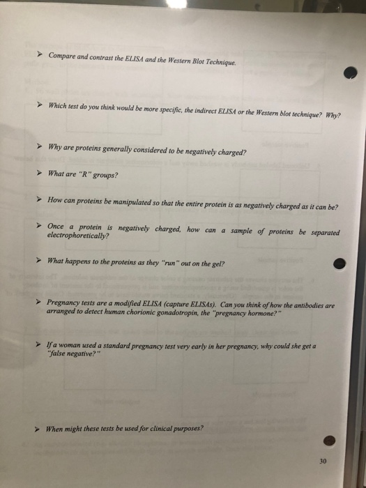 Solved Compare And Contrast The ELISA And The Western Blot Chegg Com   Image 