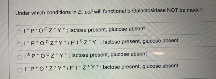 Solved Under Which Conditions In E Coli Will Functional Chegg Com