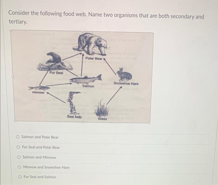 Solved Consider the following food web. Name two organisms | Chegg.com