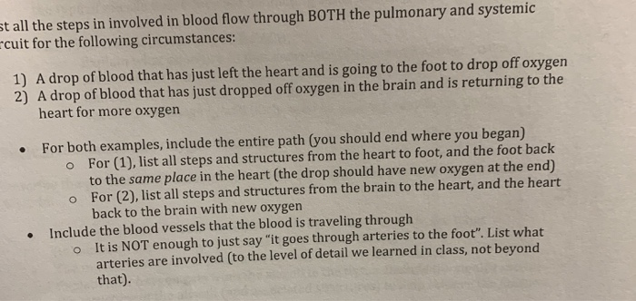 Solved st all the steps in involved in blood flow through | Chegg.com