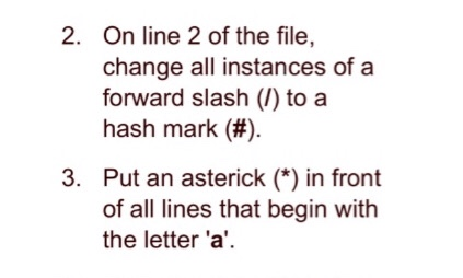 What Is A Forward Slash (/) & How Do You Use It?