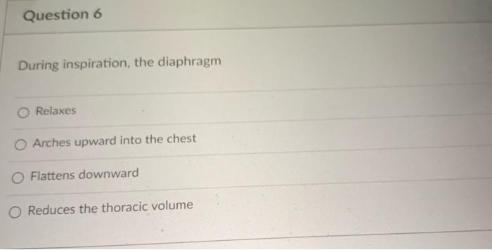 which of the following is not a function of the muscles quizlet