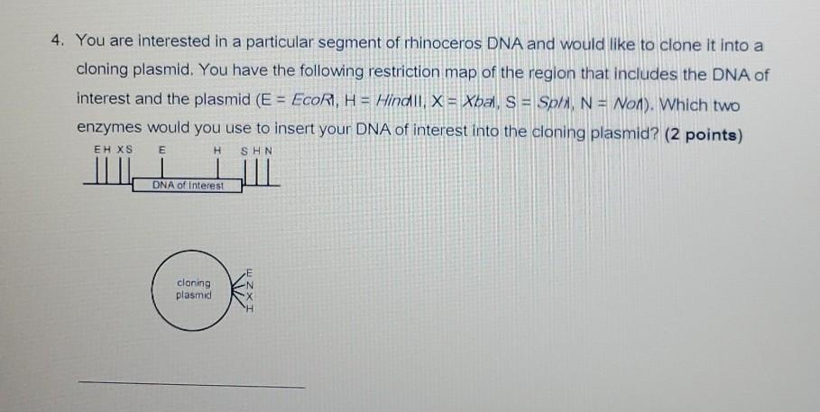 Solved 4. You are interested in a particular segment of | Chegg.com