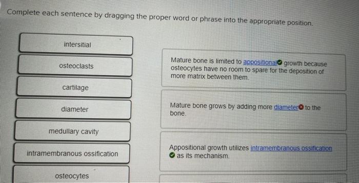 Solved Complete Each Sentence By Dragging The Proper Word Or | Chegg.com