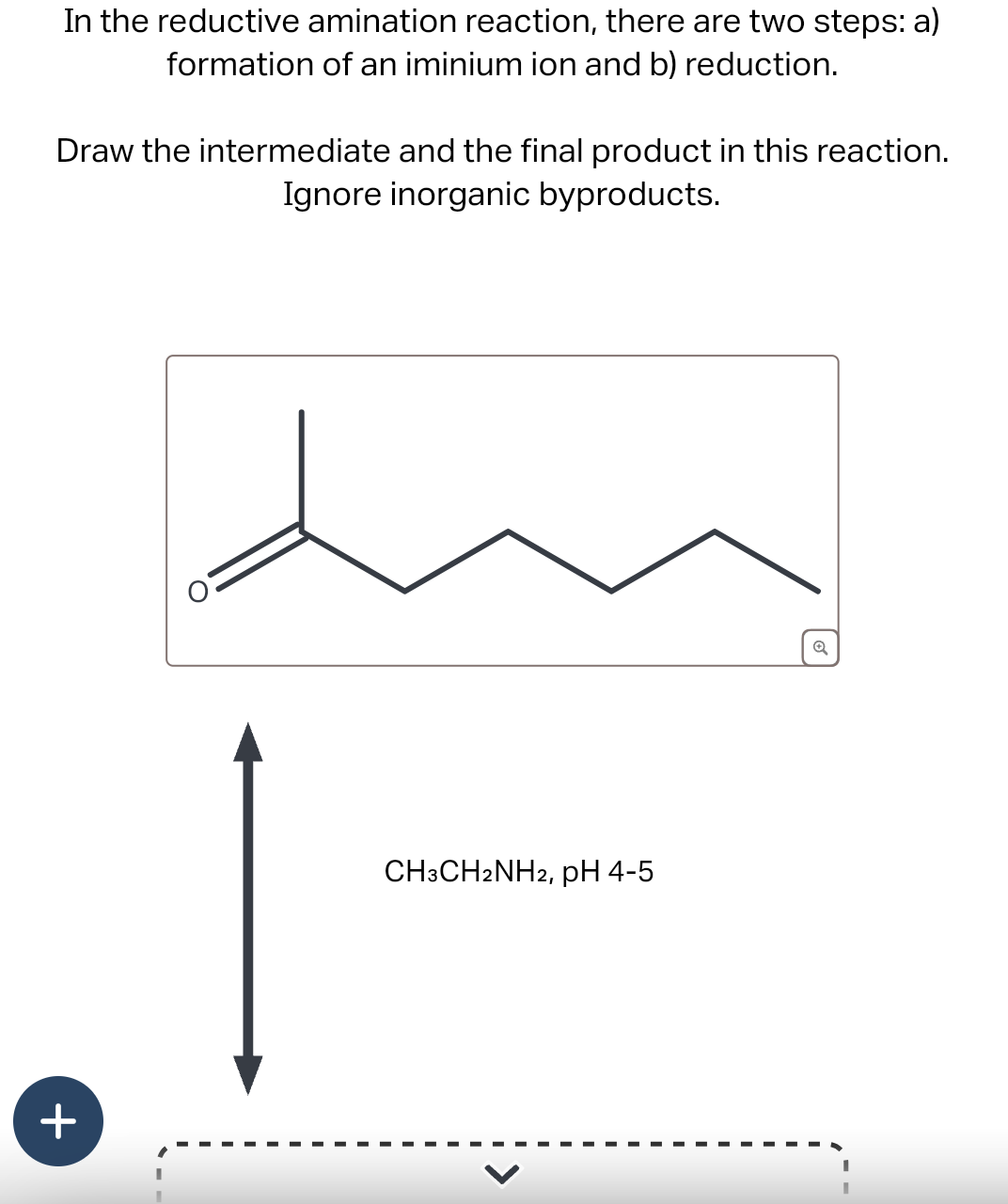Solved in ﻿the reductive amination reaction there are two | Chegg.com