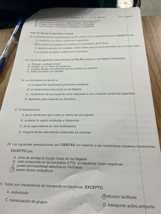 A. Proveren motifiad omblar B. Pueden aer un factor de virulencia B. Pueden aer un faclor de viribincia b. Eletan formadas po