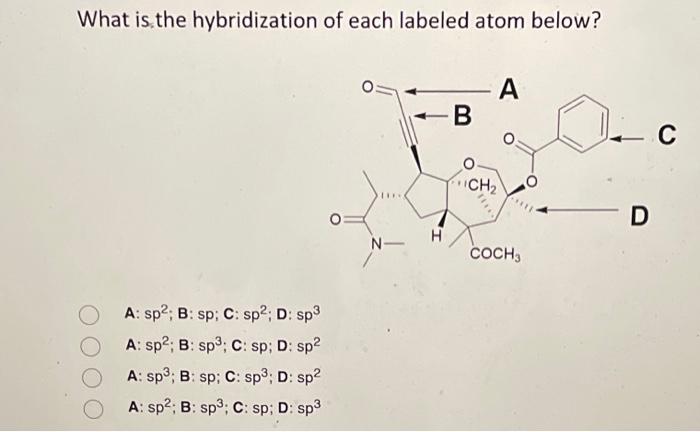 Solved What is the hybridization of each labeled atom below? | Chegg.com