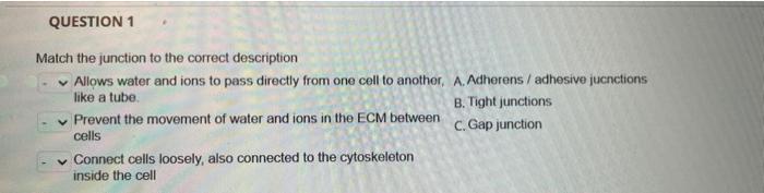 Solved QUESTION 1 Match the junction to the correct | Chegg.com