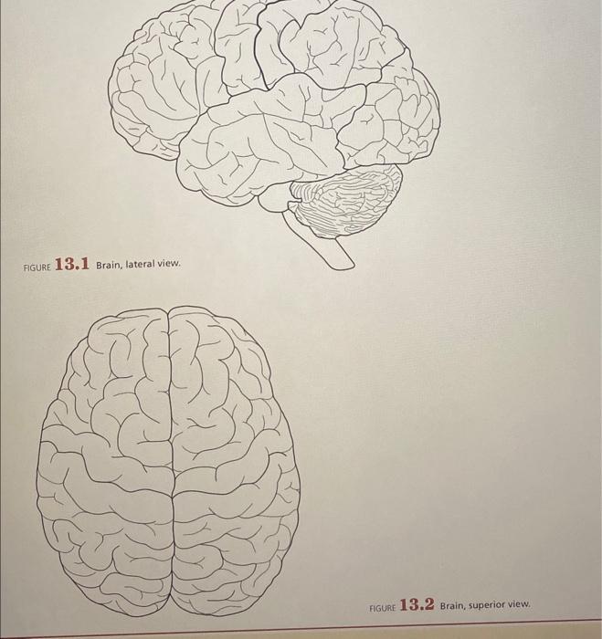 Exercise 13.2