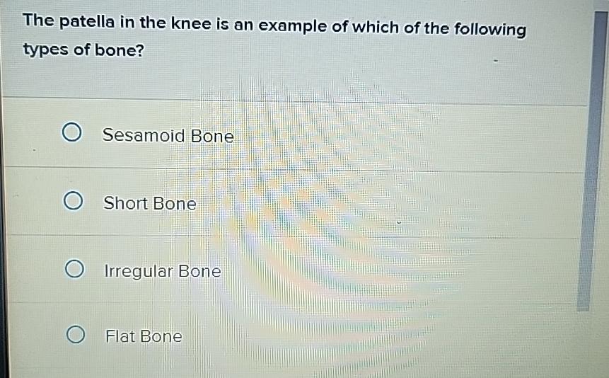 Solved The patella in the knee is an example of which of the | Chegg.com