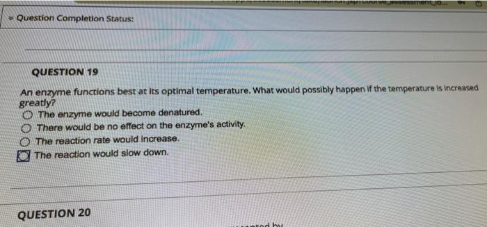 Solved Question Completion Status: QUESTION 19 An enzyme | Chegg.com