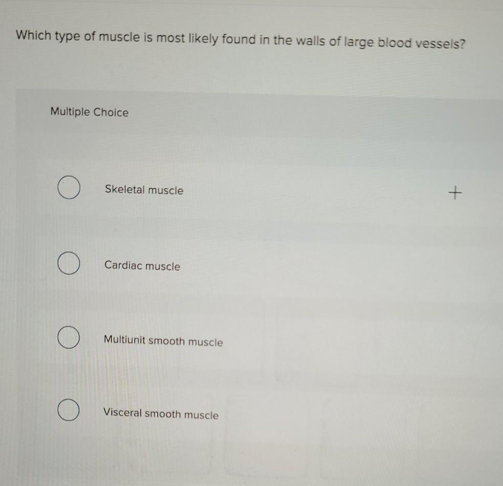 solved-which-type-of-muscle-is-most-likely-found-in-the-chegg