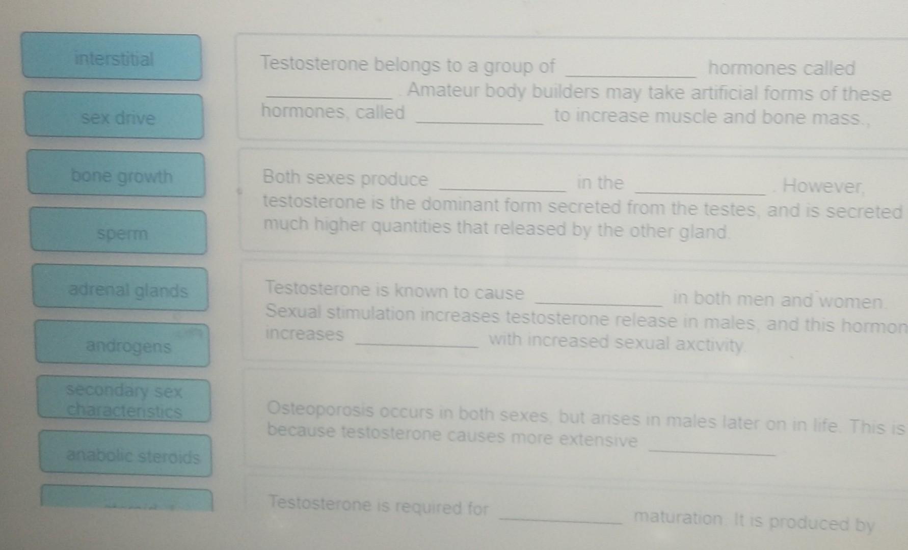 Solved interstitial Testosterone belongs to a group of Chegg
