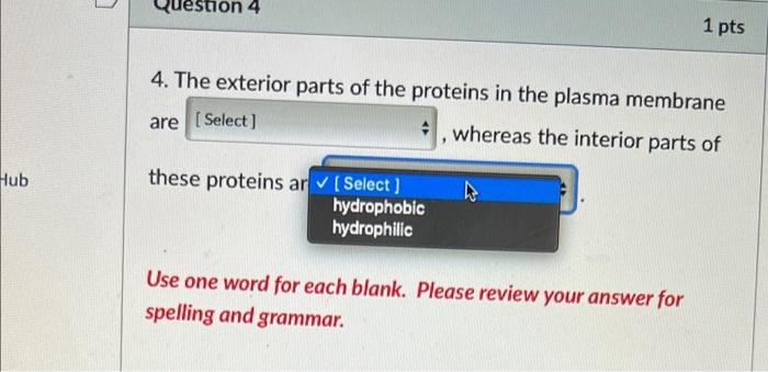 Solved Question 4 1 pts 4. The exterior parts of the | Chegg.com