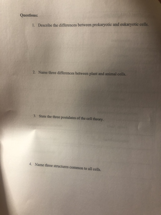 Solved Questions: 1. Describe the differences between | Chegg.com