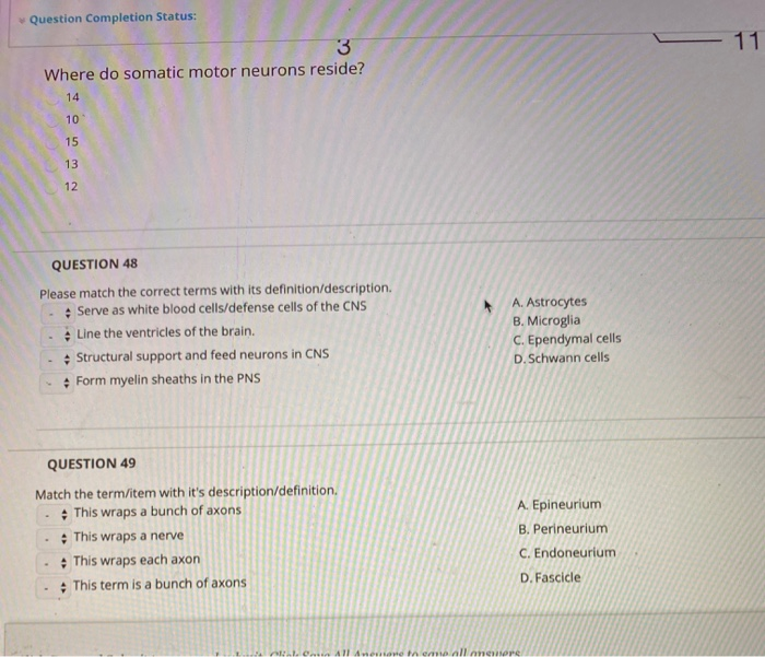 solved-question-completion-status-11-3-where-do-somatic-chegg