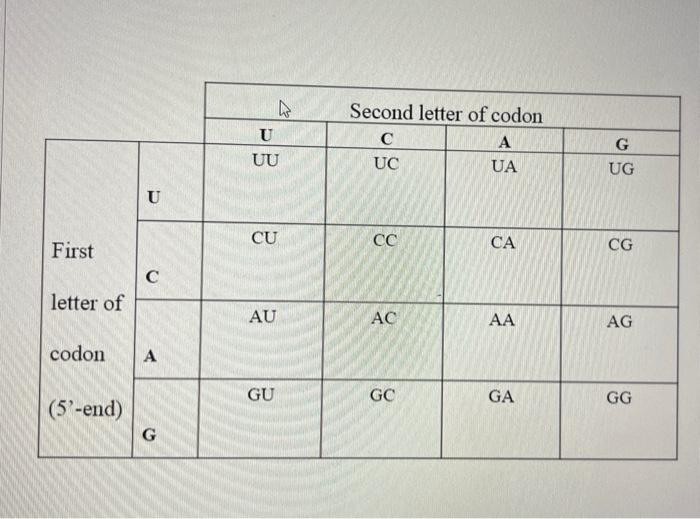 Solved What Is The Genetic Code Chegg Com