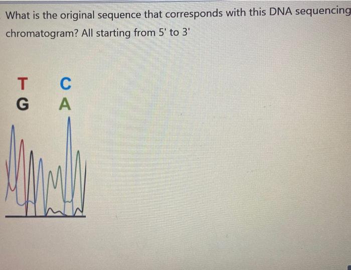 sanger sequencing chromatogram viewer