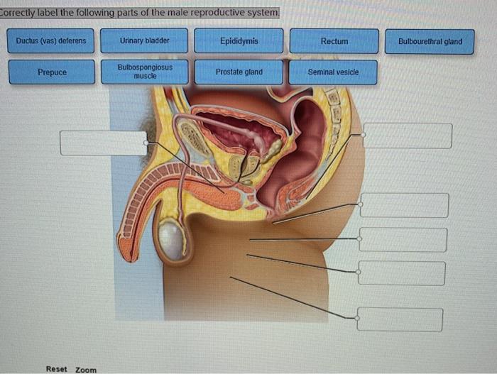 Which fully finding how the explained inside to Tools sektion