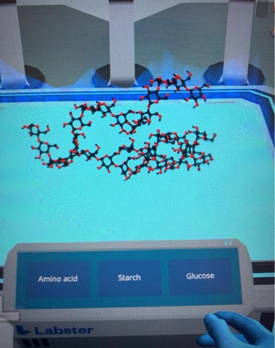 Glucose - Labster