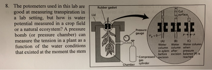 Solved Rubber gasket Lid 8. The potometers used in this lab | Chegg.com