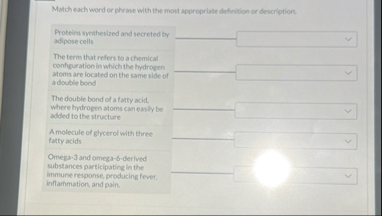 Solved Match each word or phrase with the most appropriate | Chegg.com