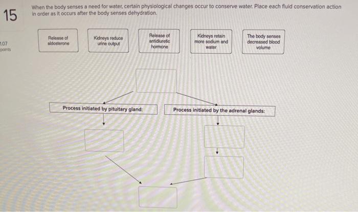 Solved Answer All The Questions Or Do Not Answer Them At 