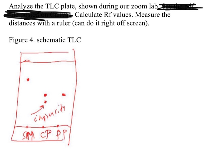 Solved Analyze the TLC plate in terms of polarity of the | Chegg.com