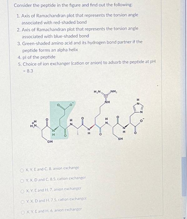 Solved Consider The Peptide In The Figure And Find Out The | Chegg.com