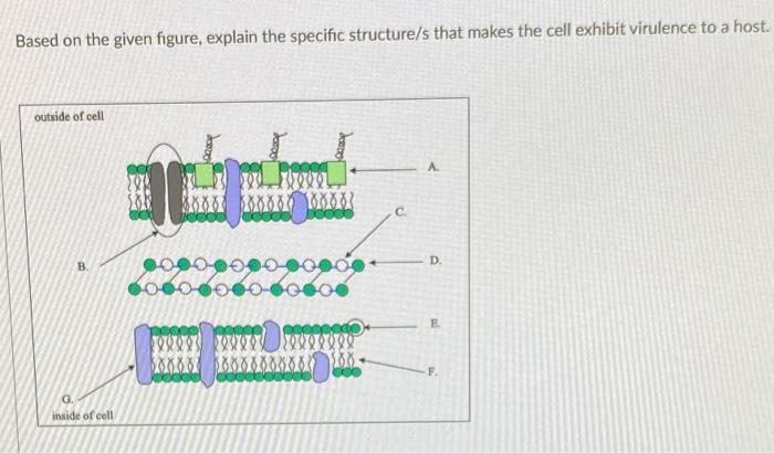 Solved Based on the given figure, explain the specific | Chegg.com