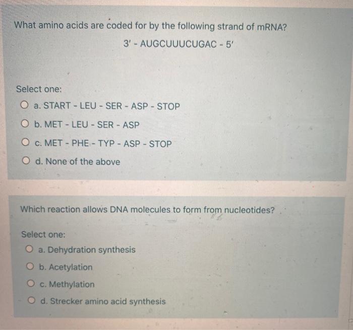 Solved What amino acids are coded for by the following