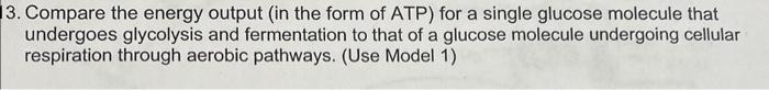 Solved 3. Compare the energy output (in the form of ATP) for | Chegg.com