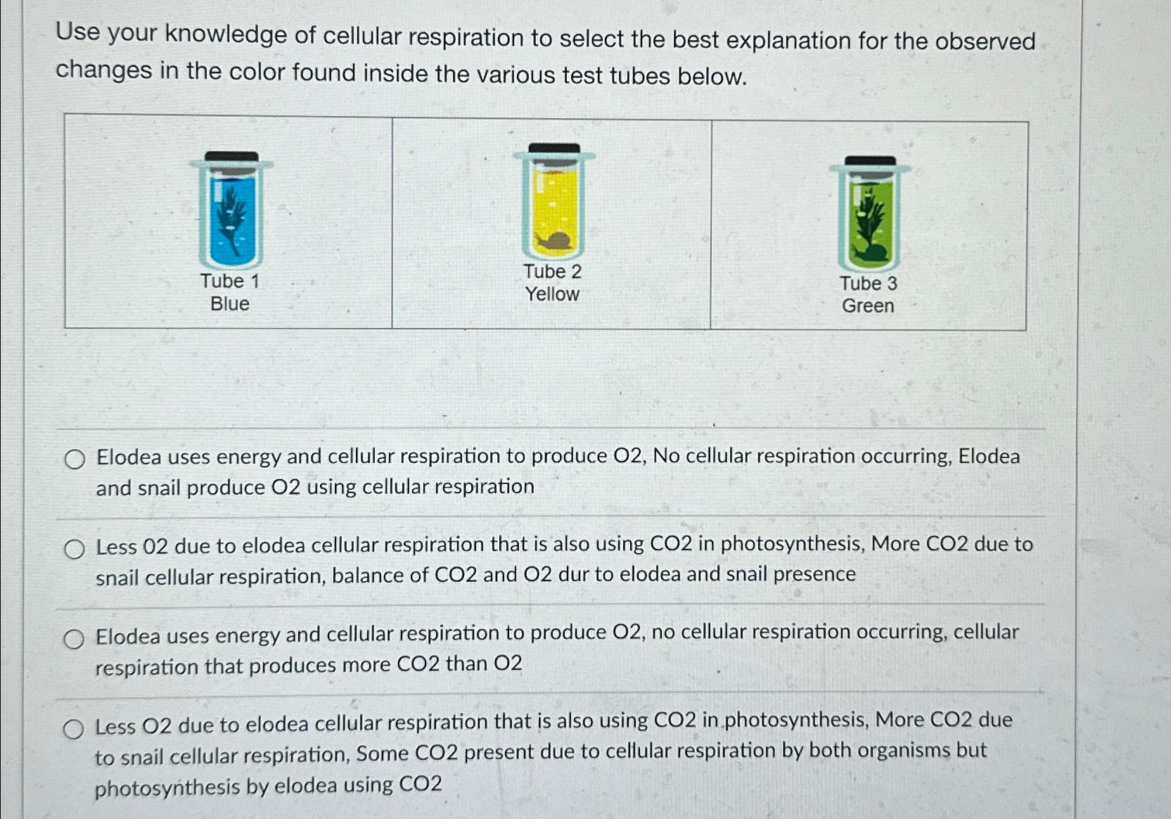 Solved Use your knowledge of cellular respiration to select | Chegg.com