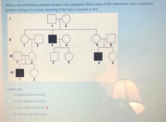 Solved What is the inheritance pattern shown in this | Chegg.com