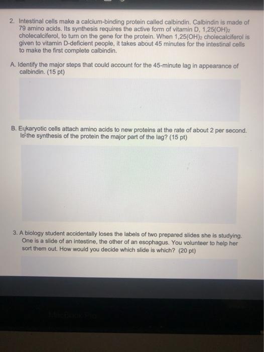 2. Intestinal cells make a calcium-binding protein called calbindin. Calbindin is made of 79 amino acids. Its synthesis requi