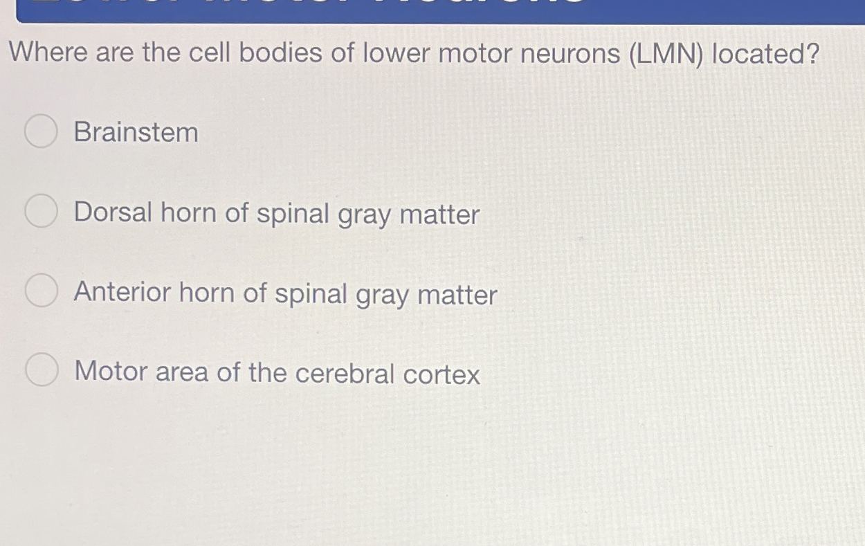 Solved Where are the cell bodies of lower motor neurons | Chegg.com