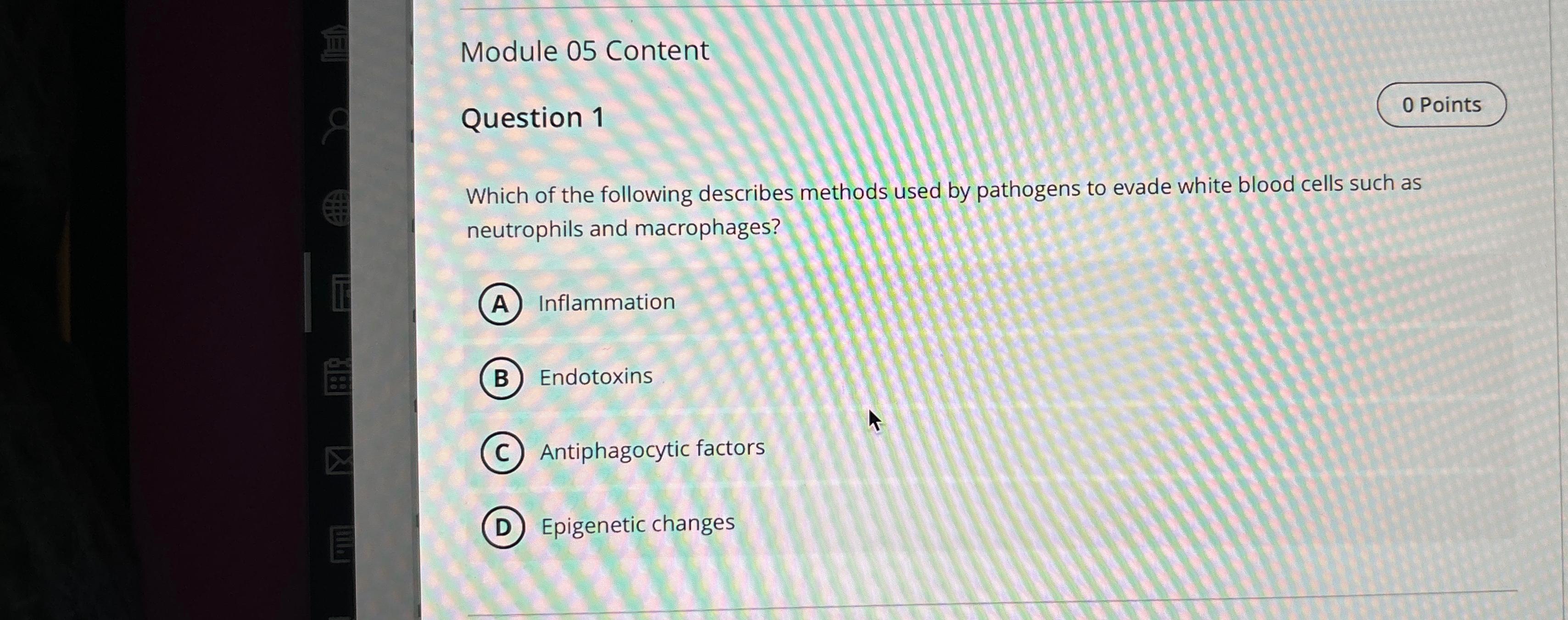 Solved Module 05 ﻿ContentQuestion 10 ﻿PointsWhich Of The | Chegg.com