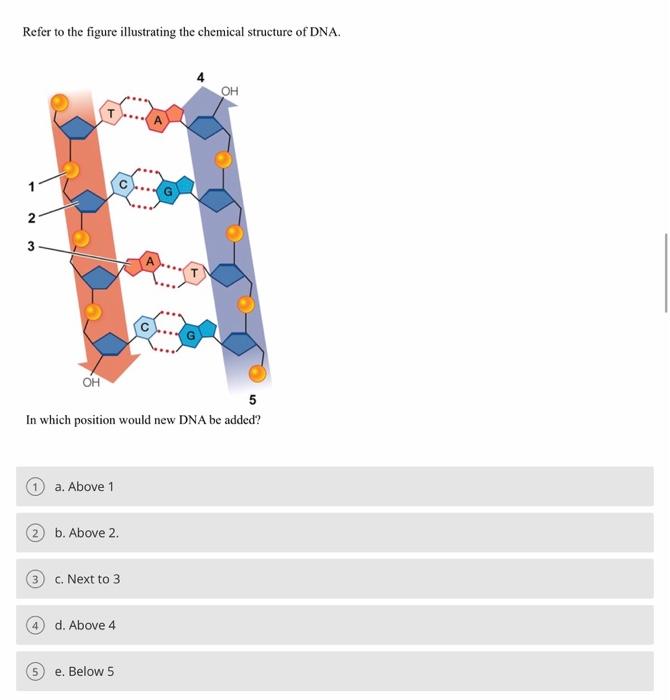 Solved Epistasis Refers To A. A Group Of Genes That Are | Chegg.com