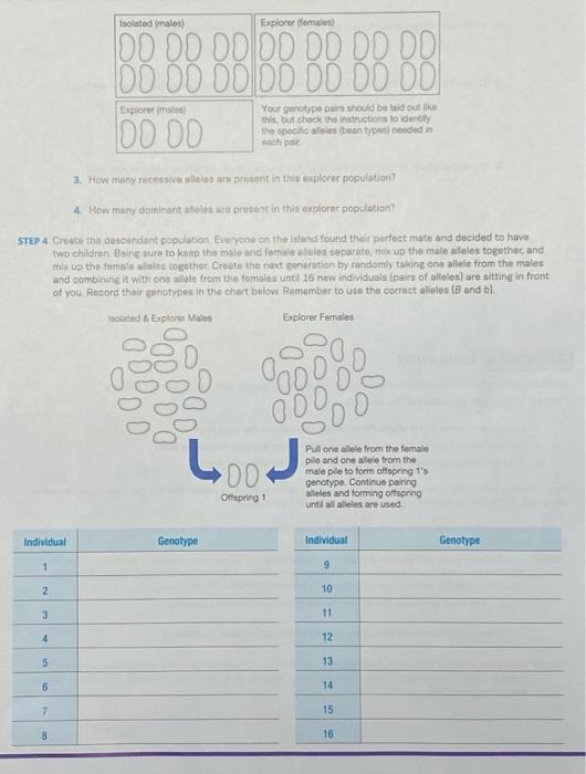 Solved EXERCISE 4 GENE FLOW Work in a small group to | Chegg.com