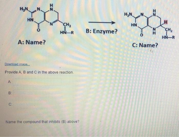 Solved TZ HN N. HUN N. N HN H CH2 HN B: Enzyme? HN-R 'N H | Chegg.com