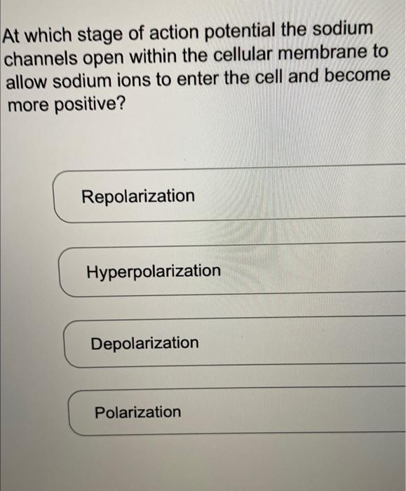 during action potential sodium ions