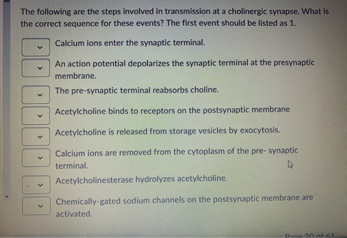 Solved The following are the steps involved in transmission | Chegg.com